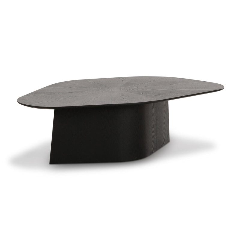 Roche Black Ash Geometric Coffee Table Model: TOV-OC69086