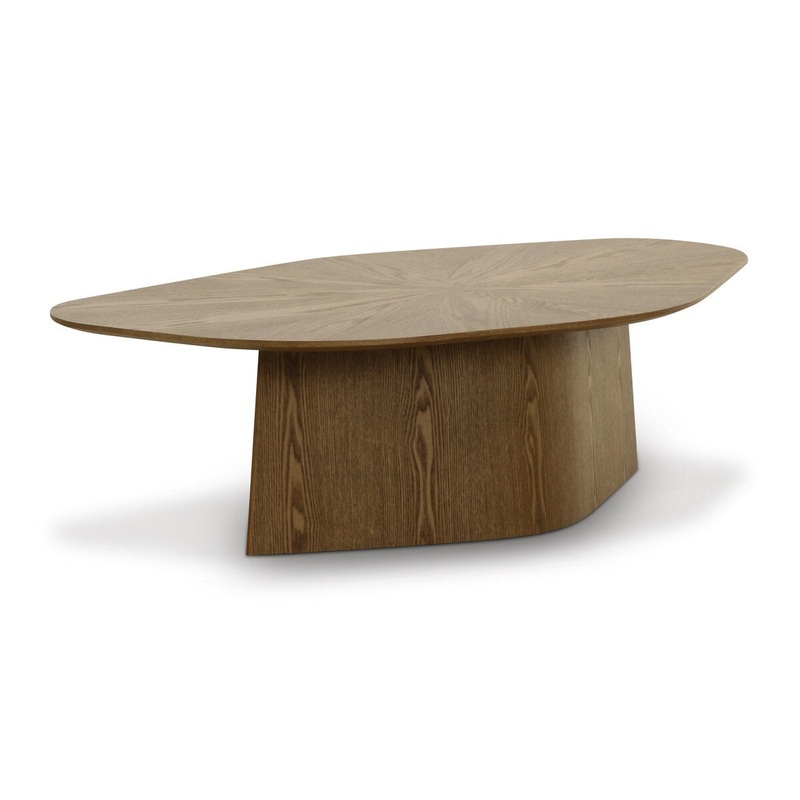 Roche Brown Ash Geometric Coffee Table Model: TOV-OC69088