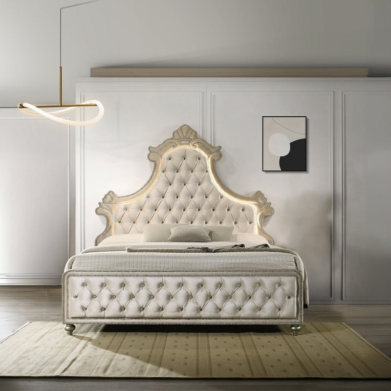 ACME Lucienne Queen Bed W/LED Model BD02335Q