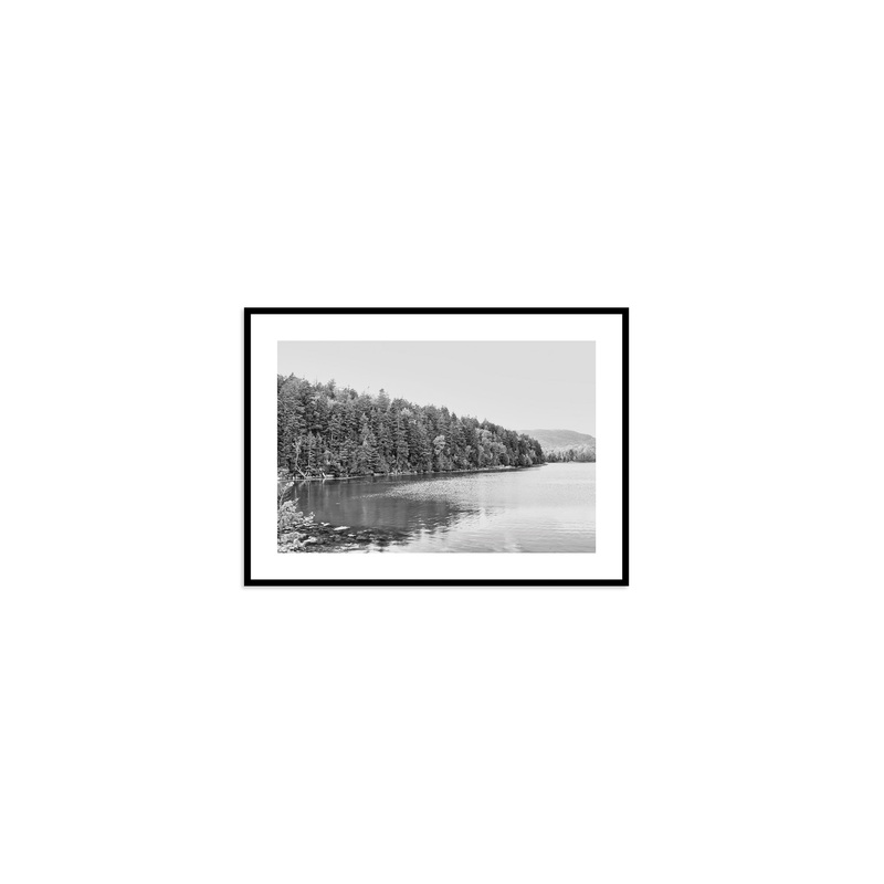 Acadia Tree Line|12″ x 16″|16″ x 21″|21″ x 29″|29″ x 29″|32″ x 40″|38″ x 38″|40″ x 60″