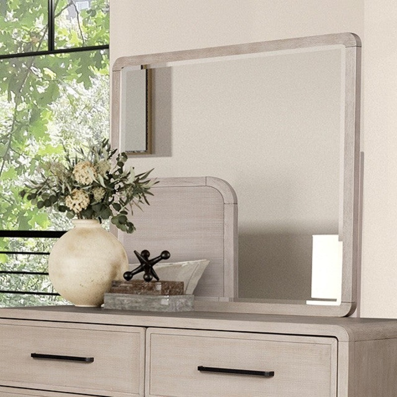 BELIZE MIRROR By FURNITURE OF AMERICA FM79016AK-M