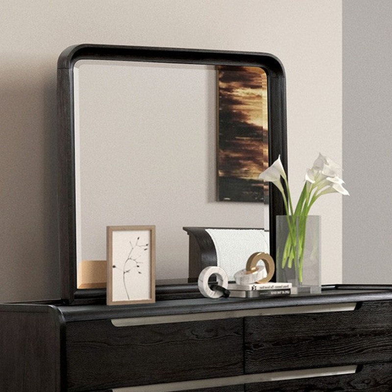 OSTERLEY MIRROR By FURNITURE OF AMERICA FM71500BK-M