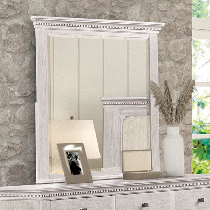 SWANLEY MIRROR By FURNITURE OF AMERICA FM7707GY-M