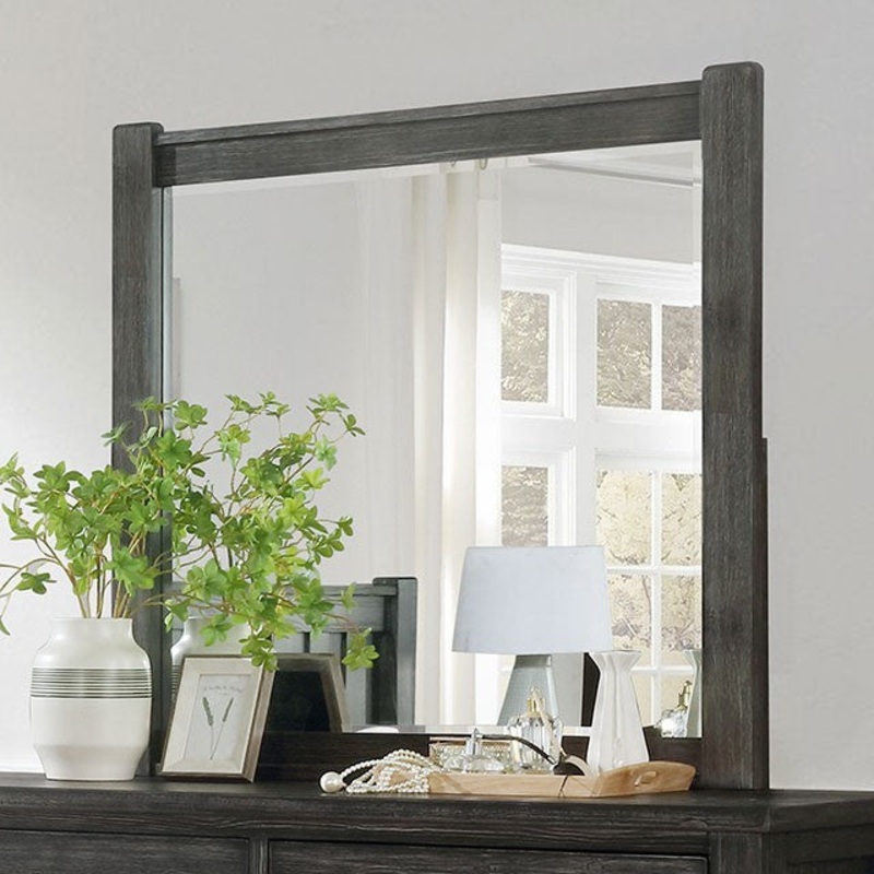 REGENSBURG MIRROR By FURNITURE OF AMERICA FOA7169M