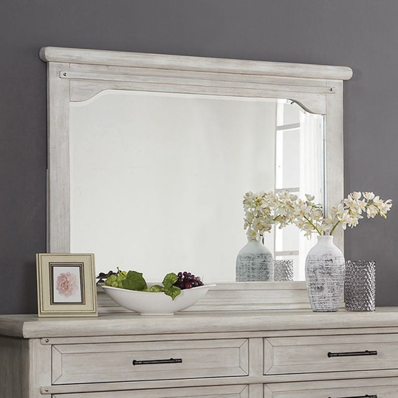 SHAWNETTE MIRROR By FURNITURE OF AMERICA FOA7924M