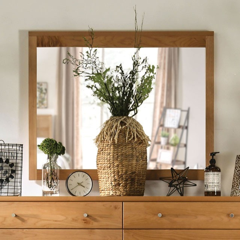 WILLAMETTE MIRROR By FURNITURE OF AMERICA FOA7602M