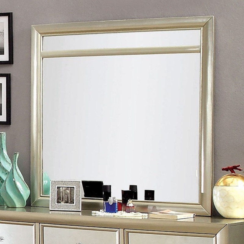 BRIELLA MIRROR By FURNITURE OF AMERICA CM7101M