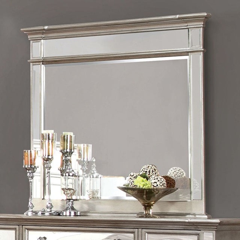 SALAMANCA MIRROR By FURNITURE OF AMERICA CM7673M