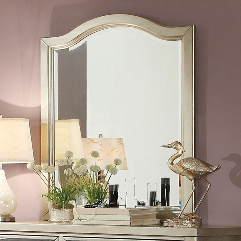 ADELINE MIRROR By FURNITURE OF AMERICA CM7282M