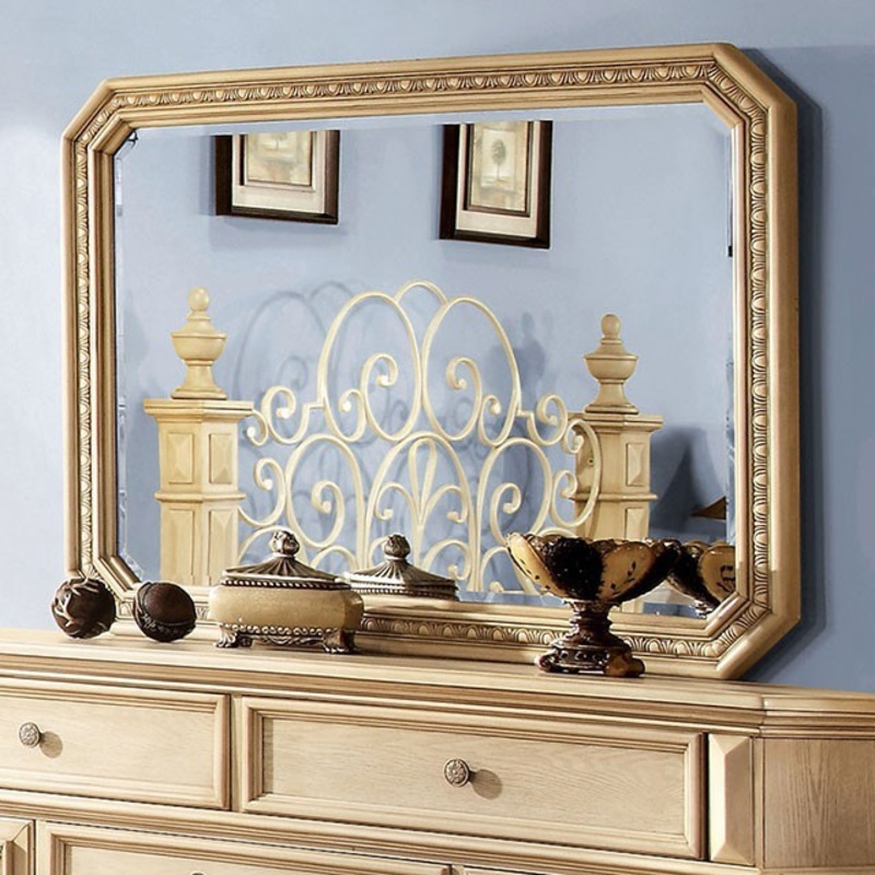 WALDENBURG MIRROR By FURNITURE OF AMERICA CM7810M