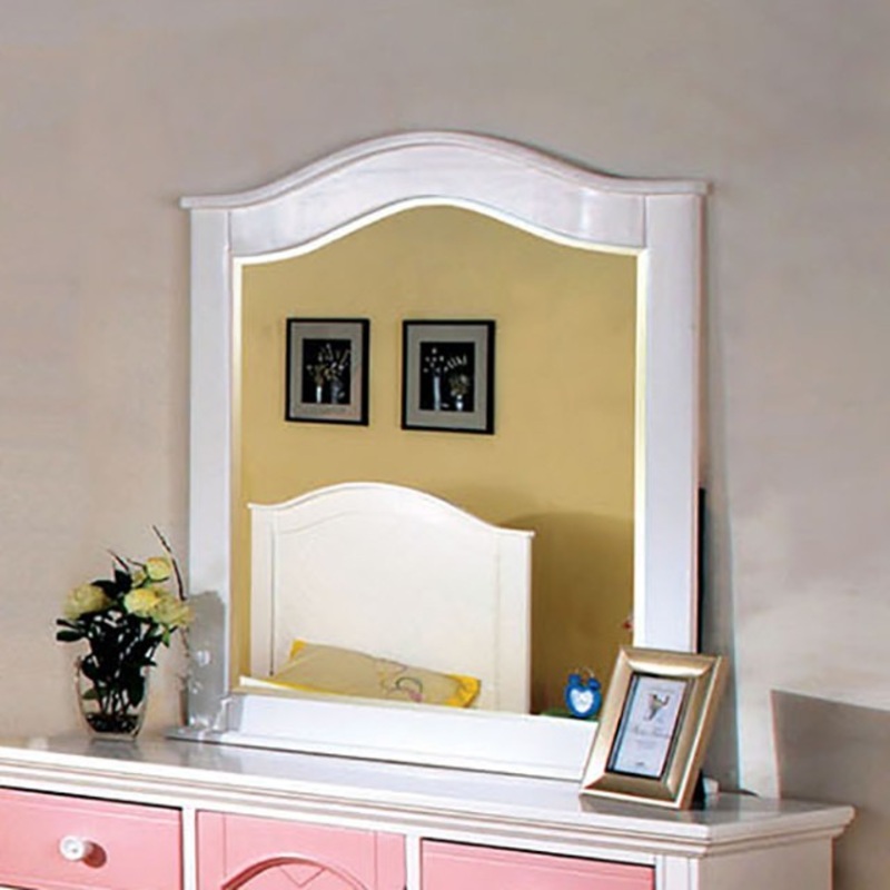 AILA MIRROR By FURNITURE OF AMERICA CM7916PW-M