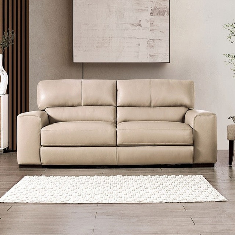 MARSICANO SOFA By FURNITURE OF AMERICA FM90005TP-SF