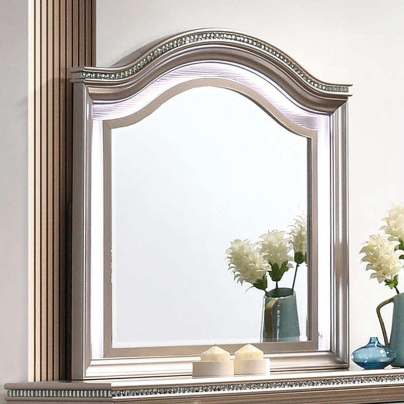 ALLIE MIRROR By FURNITURE OF AMERICA CM7901RG-M