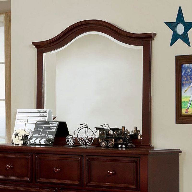 OLIVIA MIRROR By FURNITURE OF AMERICA CM7155EX-M