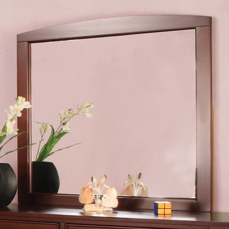 OMNUS MIRROR By FURNITURE OF AMERICA CM7905CH-M